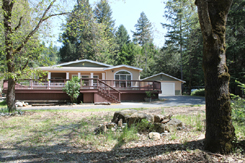Side from trees
